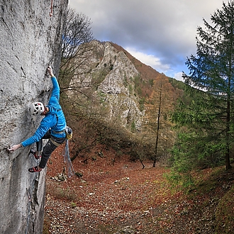 Gekón: 📸 Roman Ripka